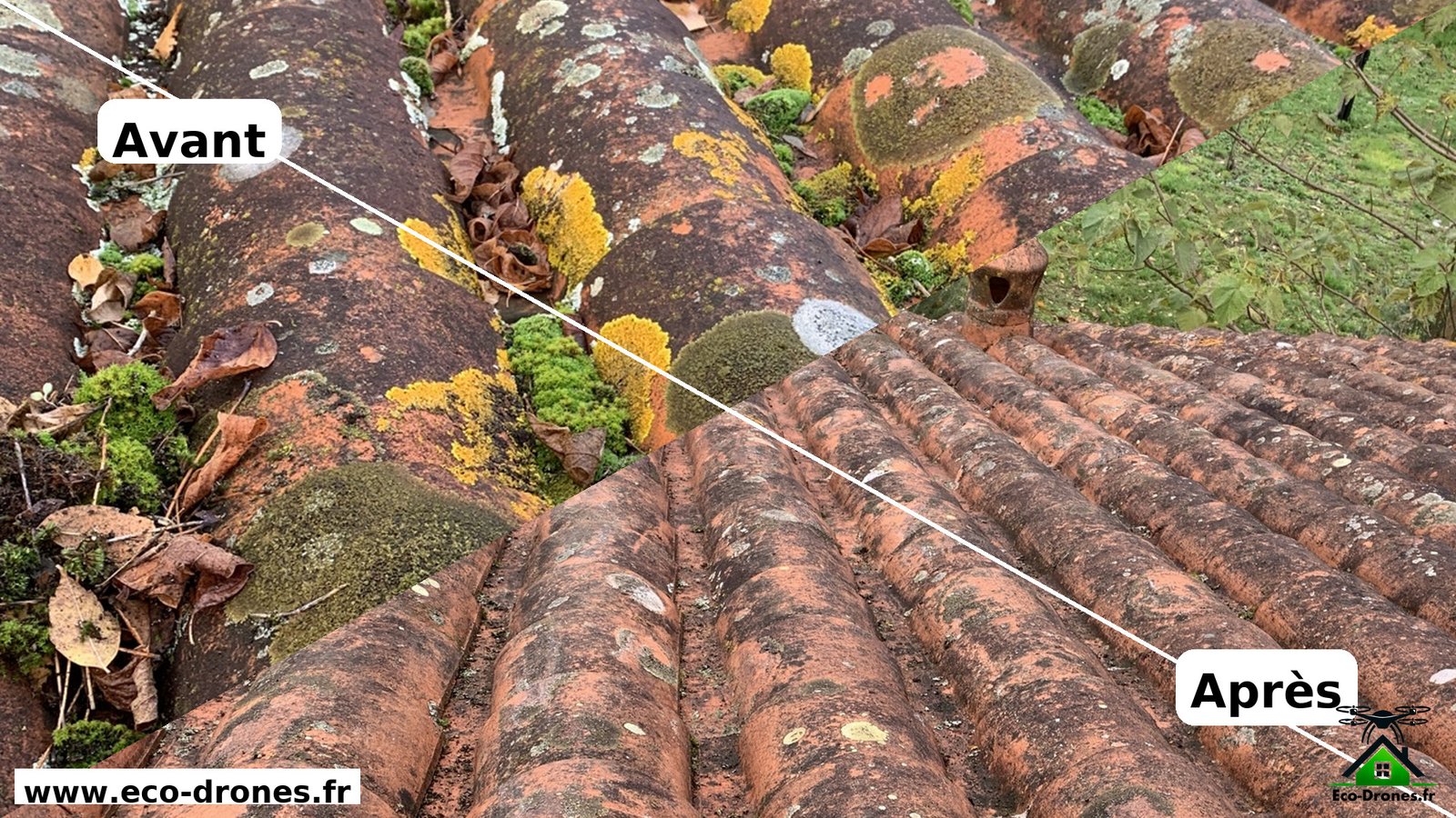 Avant après nettoyage d’une toiture fortement encrassée par les mousses