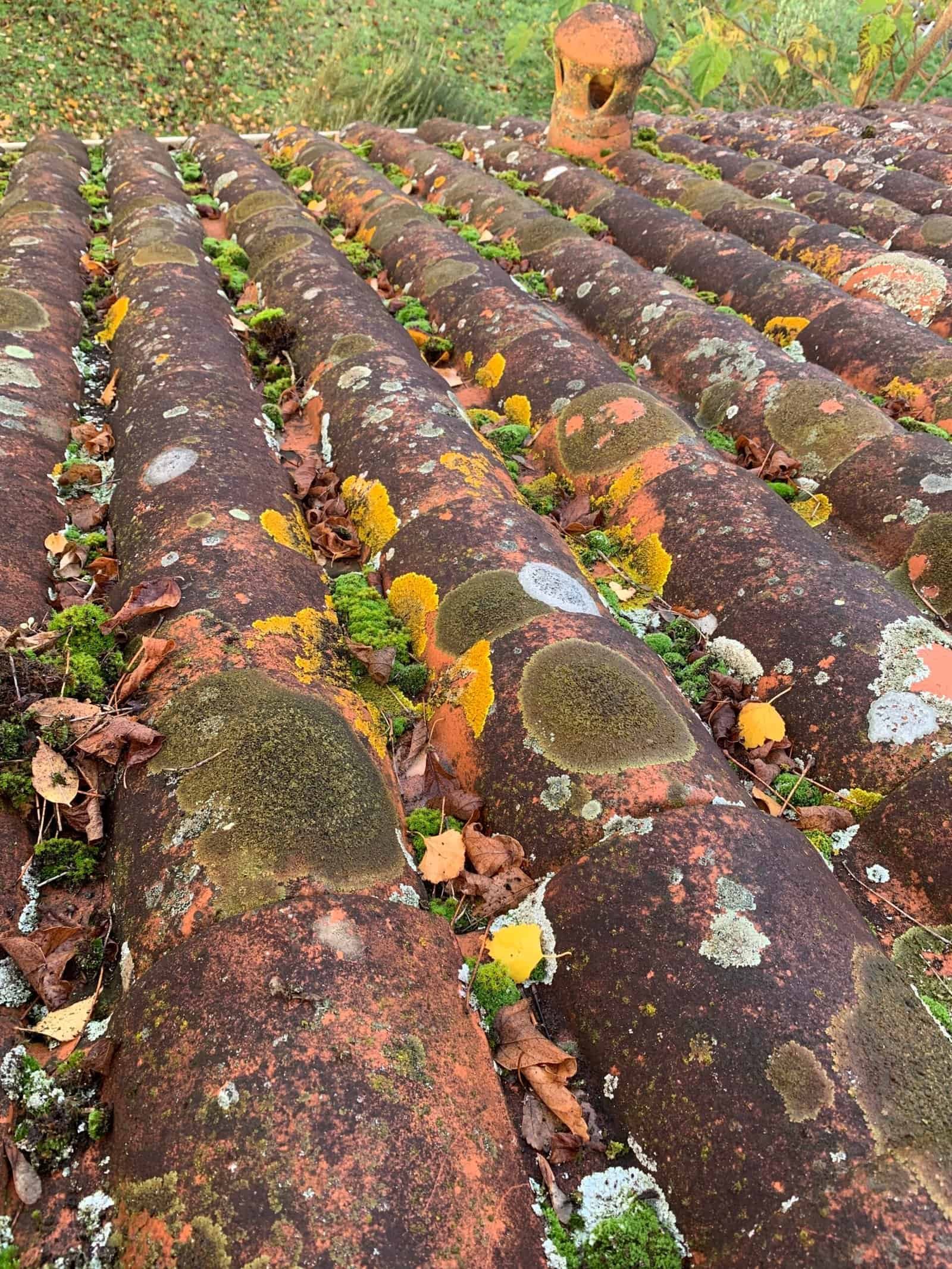 Toiture colonis&eacute;e par la mousse avant d&eacute;moussage &mdash; Eco Drones