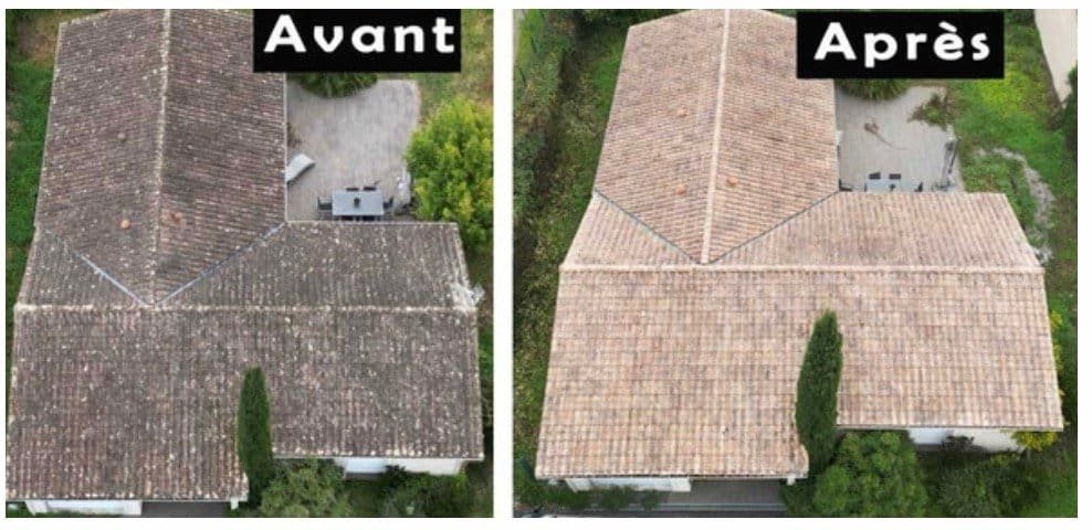 Avant traitement manuel après démoussage par drone Eco Drones Nouvelle-Aquitaine
