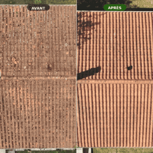Résultat avant après démoussage de toiture par drone