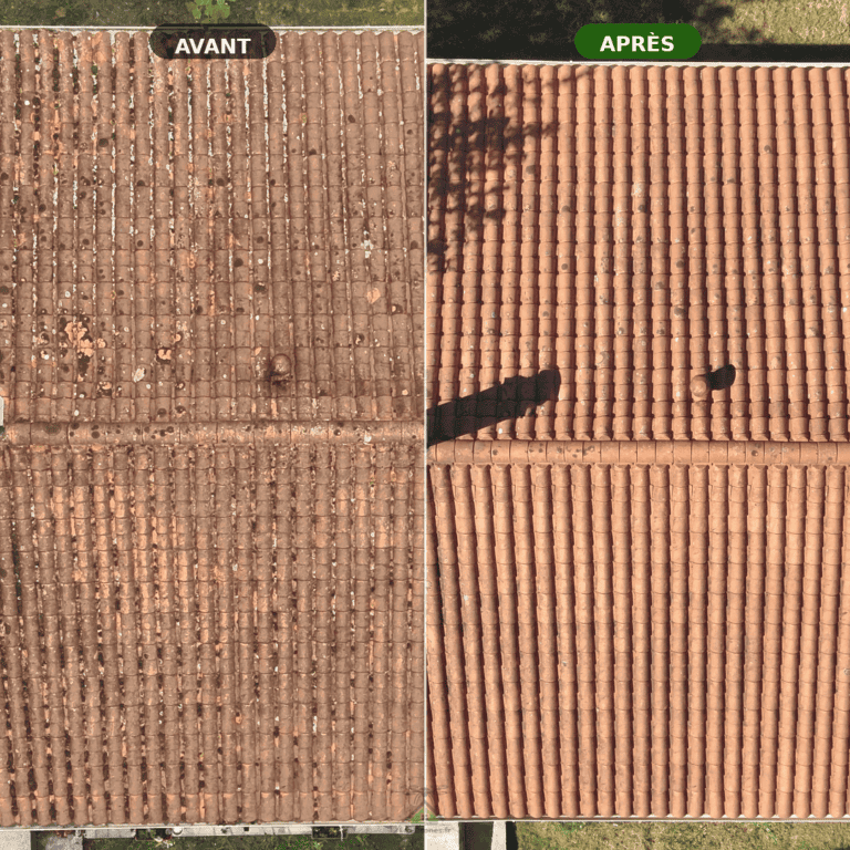 Résultat avant après démoussage de toiture par drone