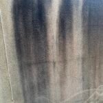 Traces noires sur façade en crépi — algues et cyanobactéries — Eco Drones