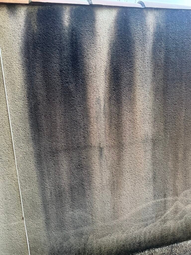 Traces noires sur façade en crépi — algues et cyanobactéries — Eco Drones
