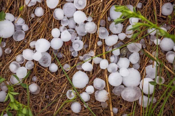 Grêlons après orage violent — taille des impacts sur bâtiments