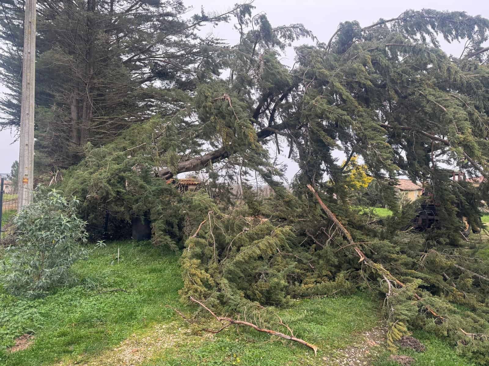 Dégâts de tempête et grêle sur bâtiment — toiture endommagée
