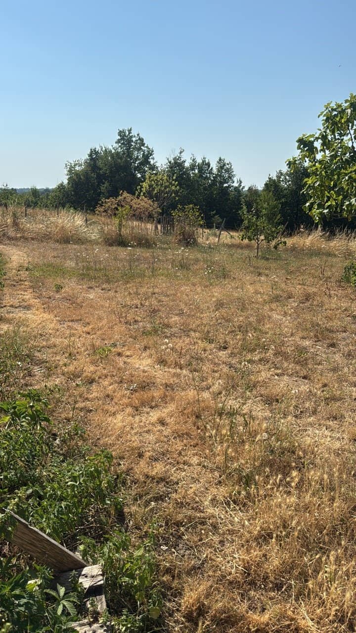Canicule en Charente été 2026