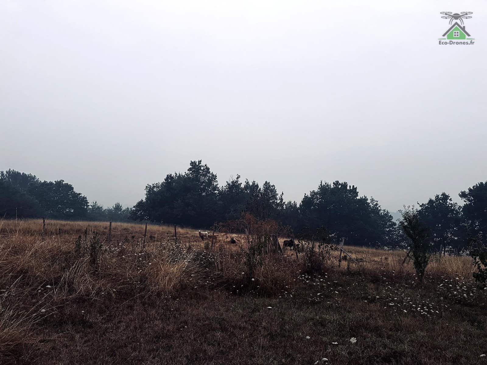 Qualit&eacute; de l'air d&eacute;grad&eacute;e par les fum&eacute;es de l'incendie de Gironde dans la campagne de Montendre, samedi matin