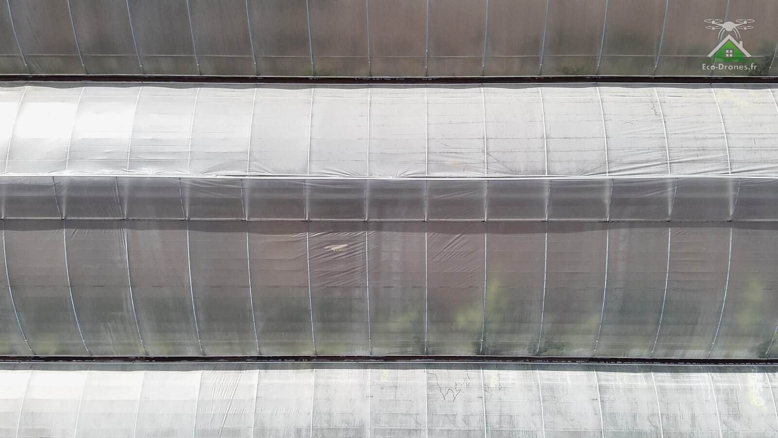Vue du ciel d'une serre multichapelle en film plastique : une chapelle entre deux chéneaux, arceaux et ouvrant visibles