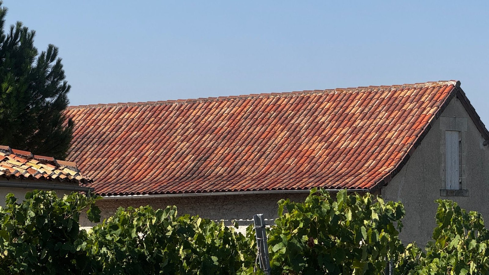 Maison en pierre avec grand pan de toiture en tuiles canal, photographiée depuis le jardin, le type de photo à apporter sur un salon de l'habitat