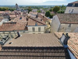 Vue aérienne par drone de toitures en tuiles canal et en plaques ondulées couvertes de lichens et de mousses sèches après un été sans pluie